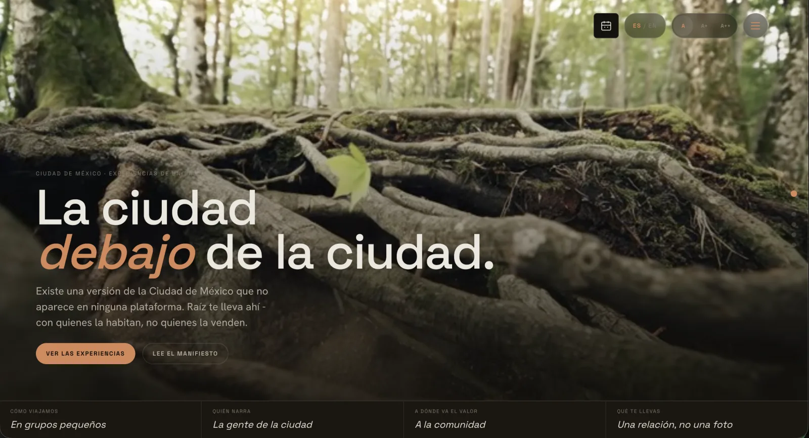 Preview de A la Raíz